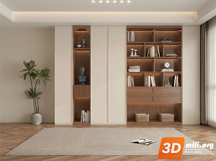 Bookcase Skp Files